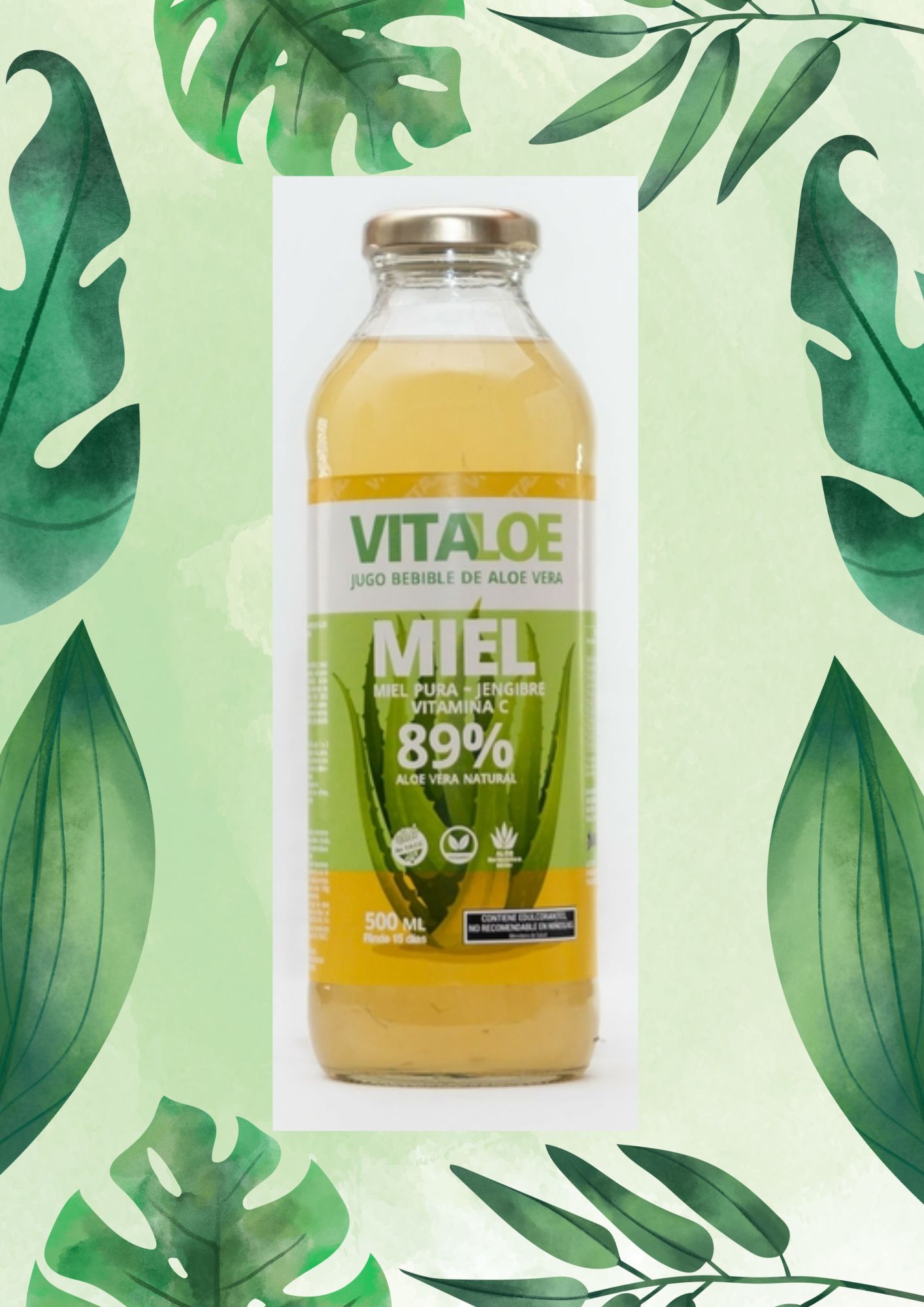 VITALOE MIEL, JENGIBRE Y VIT C 500 ML