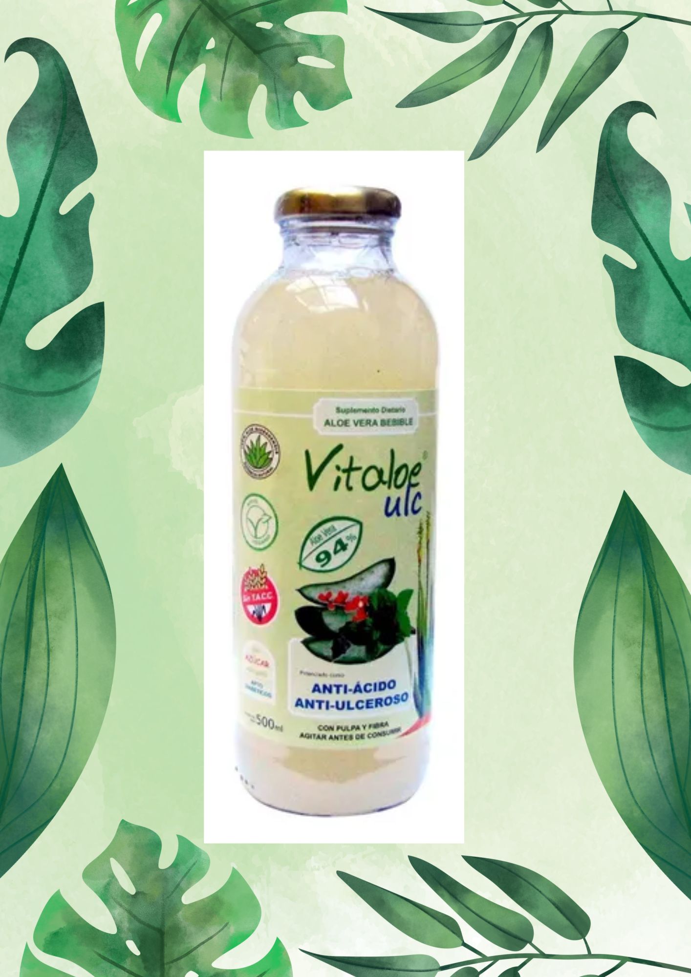 VITALOE ULC ANTIACIDO- ANTIULCERO 500 ML