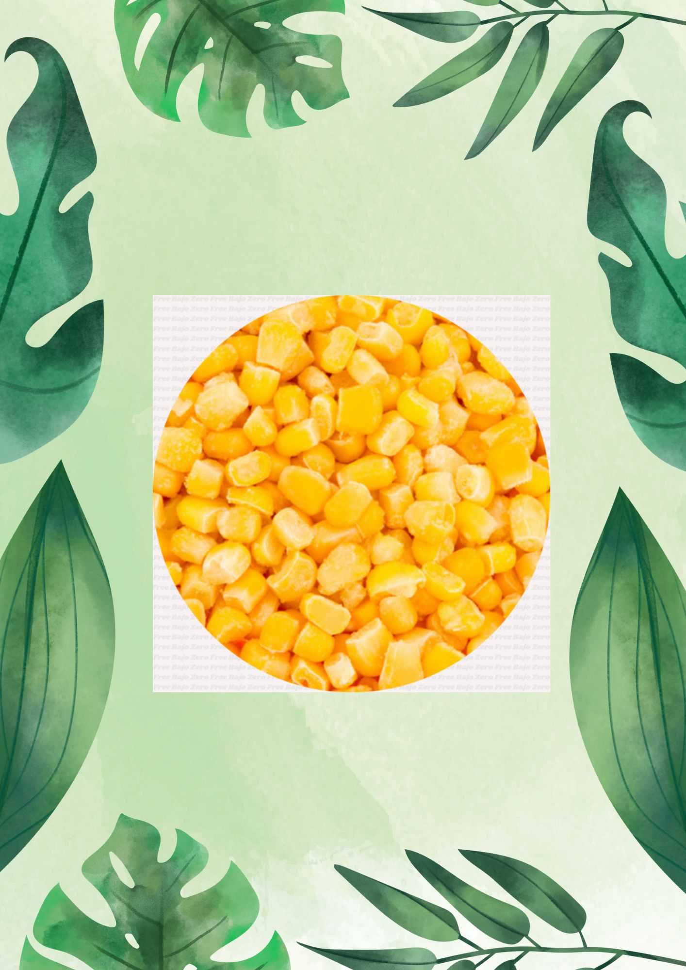 FREE BAJO CERO CHOCLO 1 KG