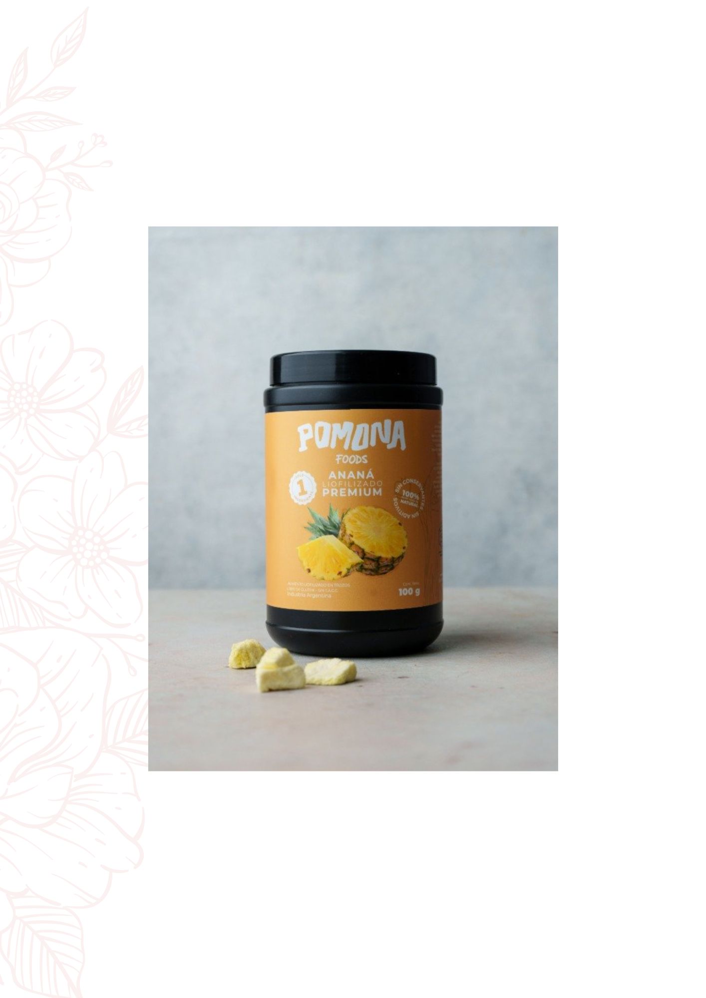 POMONA ANANA LIOFILIZADA 100 GRS