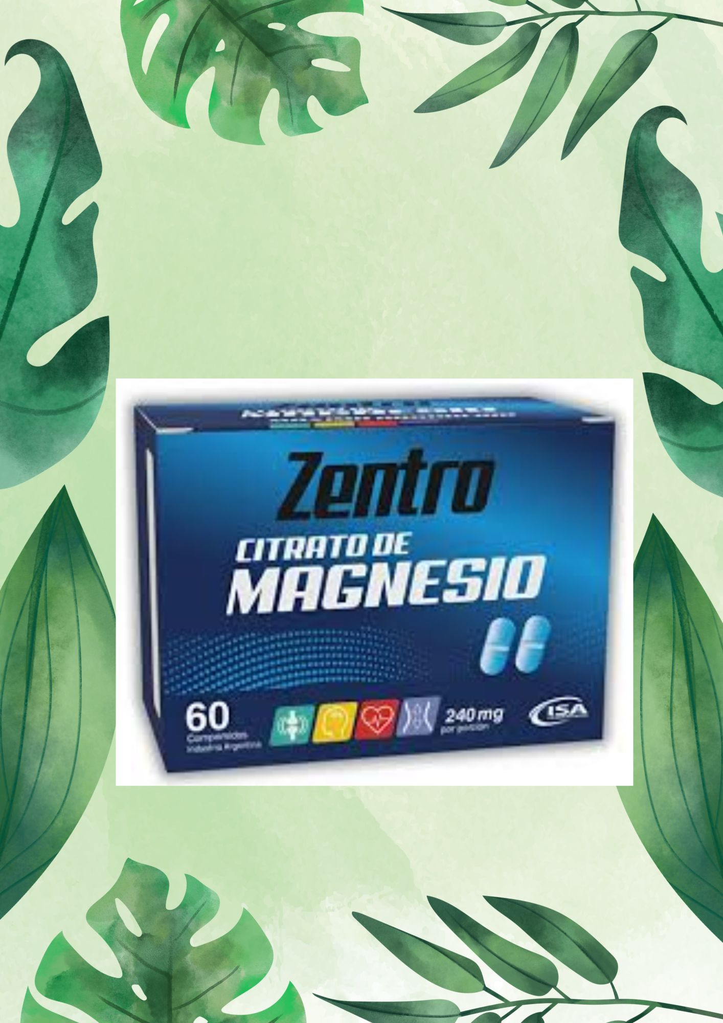 ISA ZENTRO MAGNESIO 60 COMP