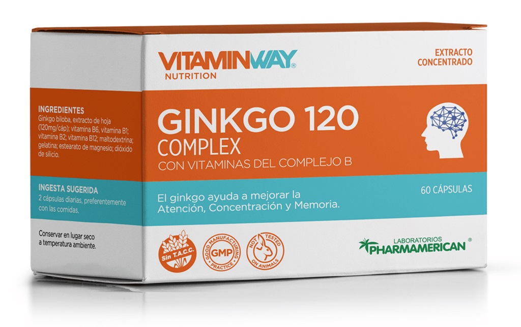 VITAMINWAY GINKGO 120 60 CAPS