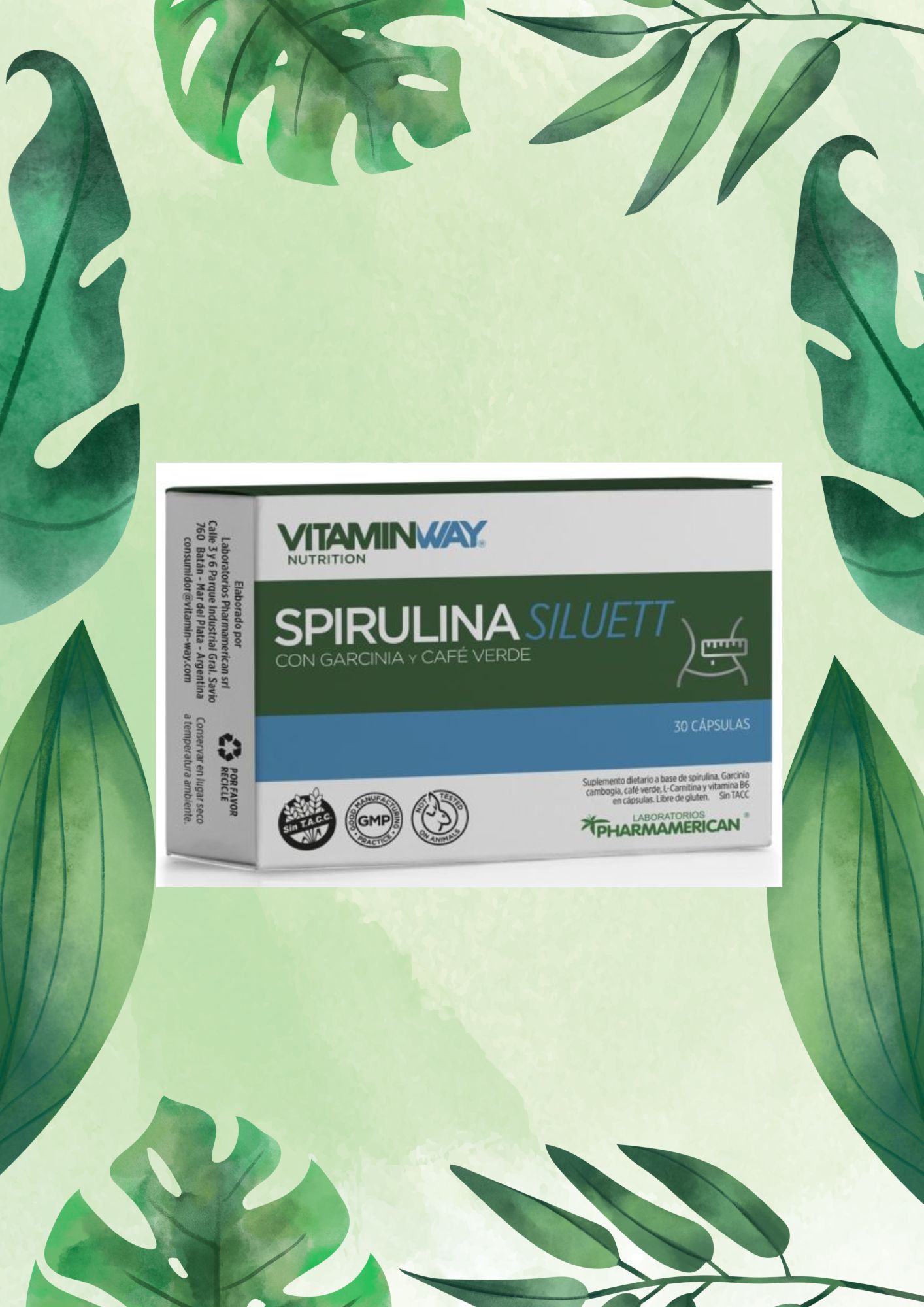 VITAMINWAY SPIRULINA SILUETT 60 CAPS