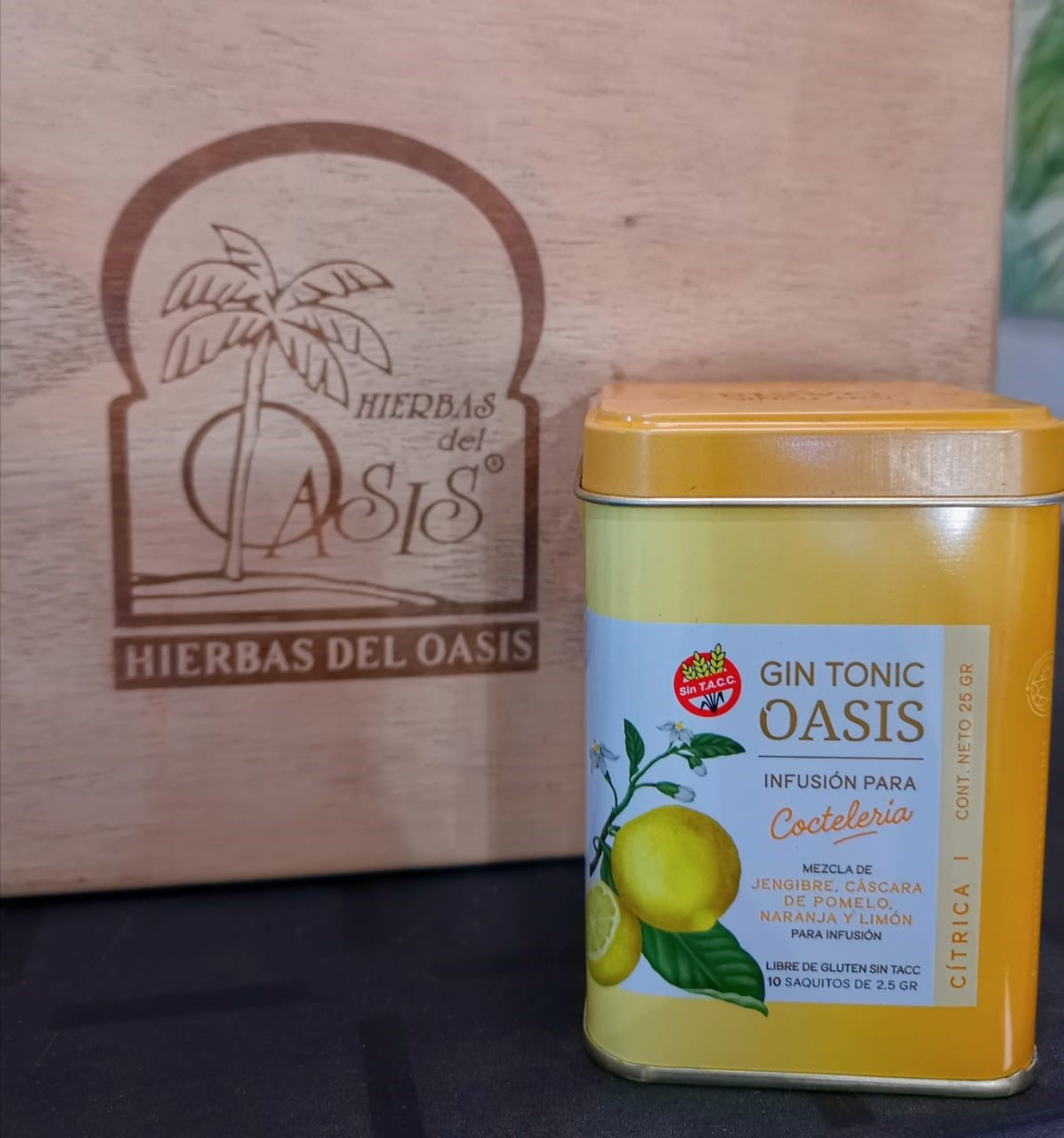 HIERBAS DEL OASIS GIN TONIC CITRICA LATA 10 SAQ