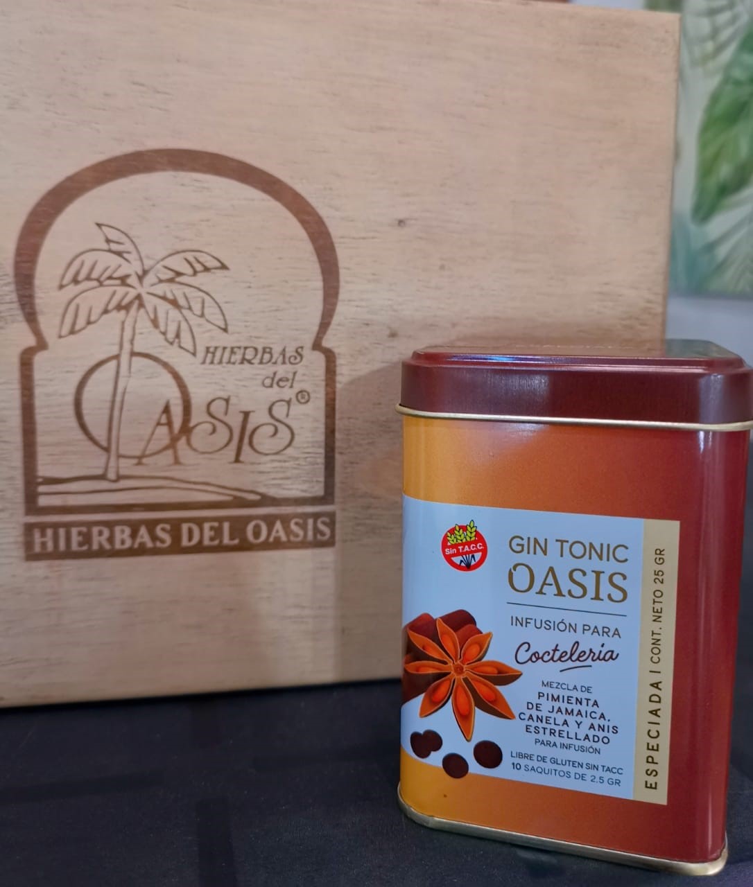 HIERBAS DEL OASIS GIN TONIC ESPECIADA LATA 10 SAQ