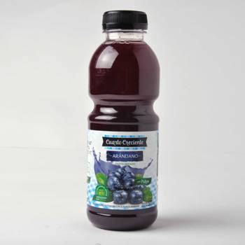 CUARTO CRECIENTE JUGO ARANDANO 500 ML
