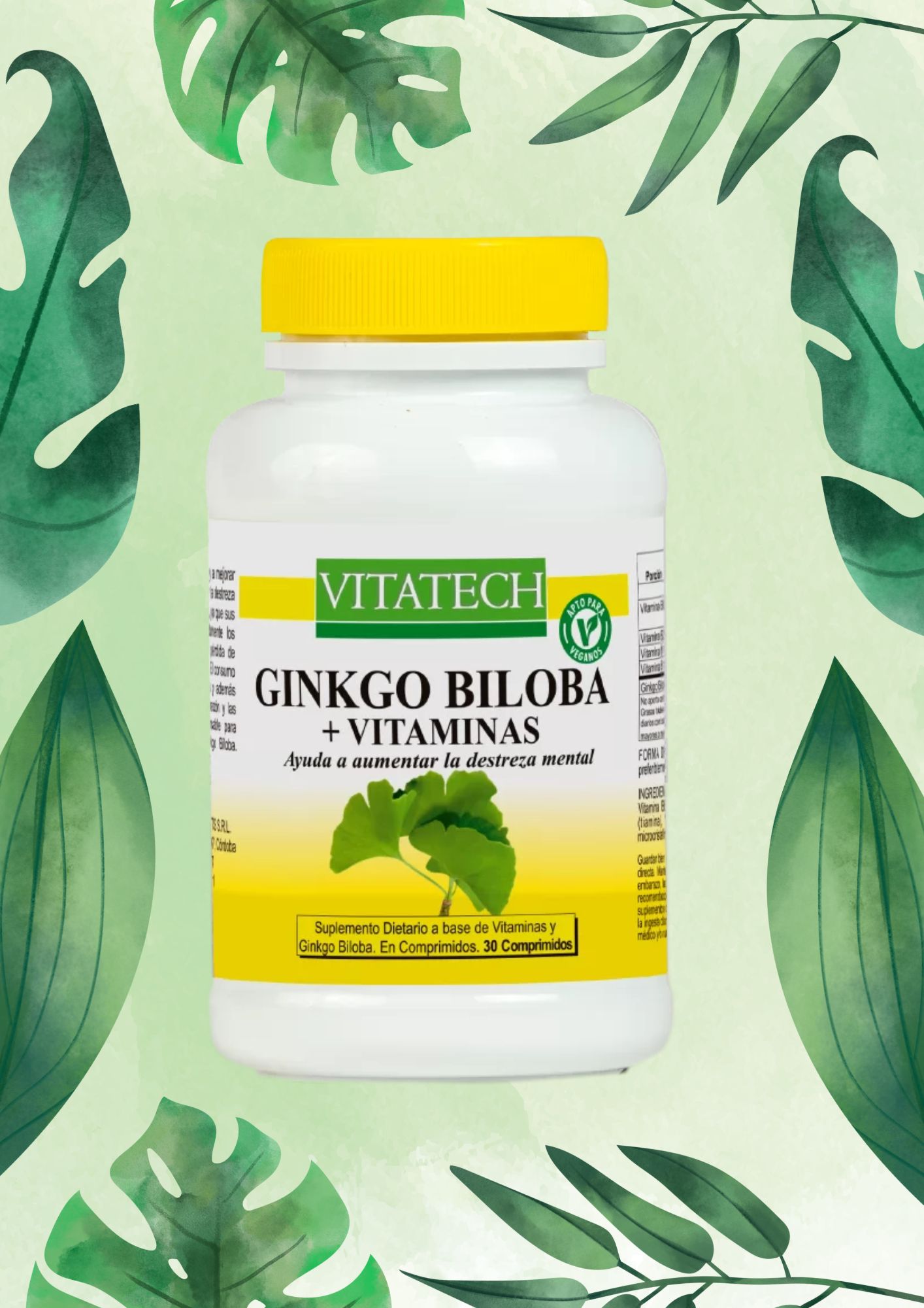 VitaTech GINKGO BILOBA 30 comp