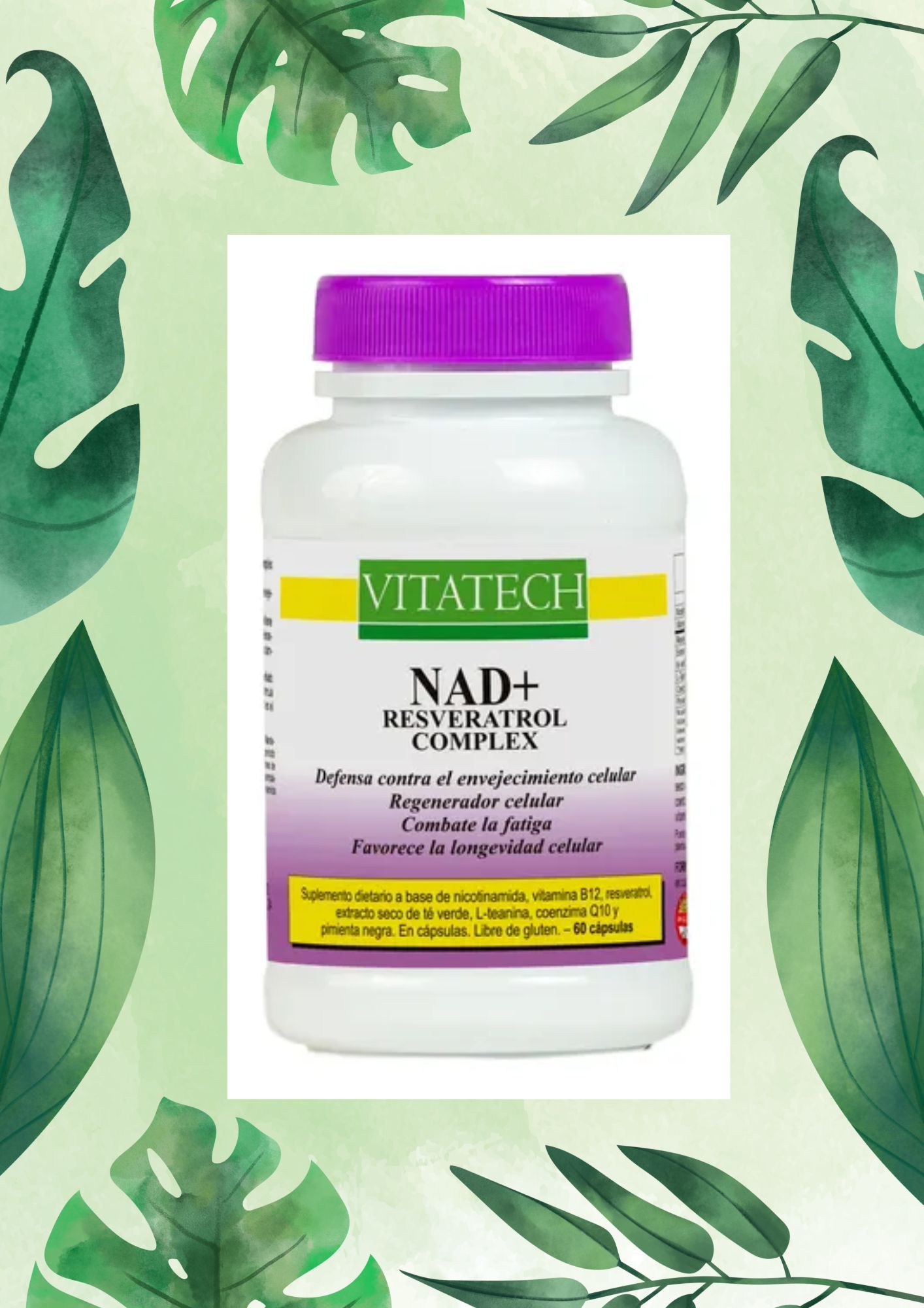VITATECH NAD+ RESVERASTROL COMPLEX 60 CAPS