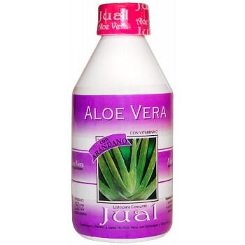 Jual ALOE CON ARANDANO 250 cc