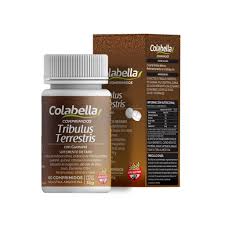 COLABELLA TRIBULUS 60 COMP