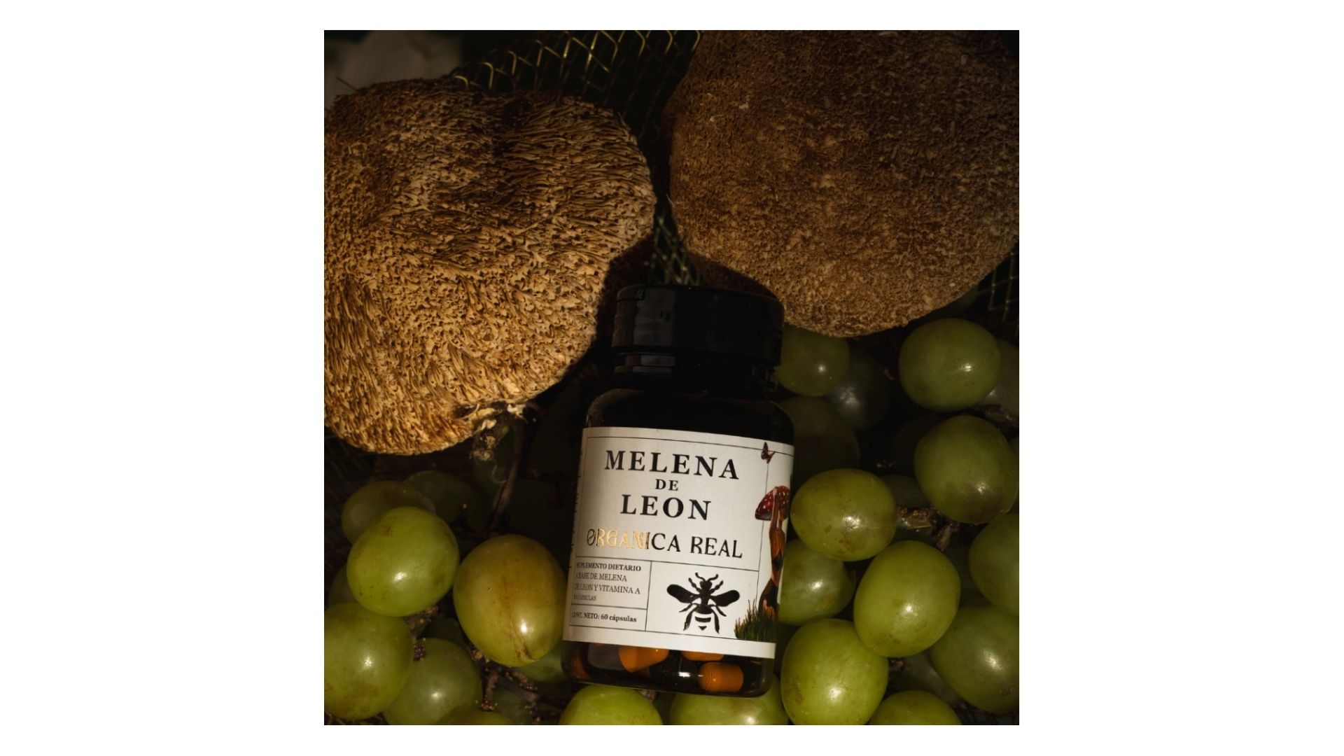 ORGANICA REAL MELENA DE LEON 60 CAPS