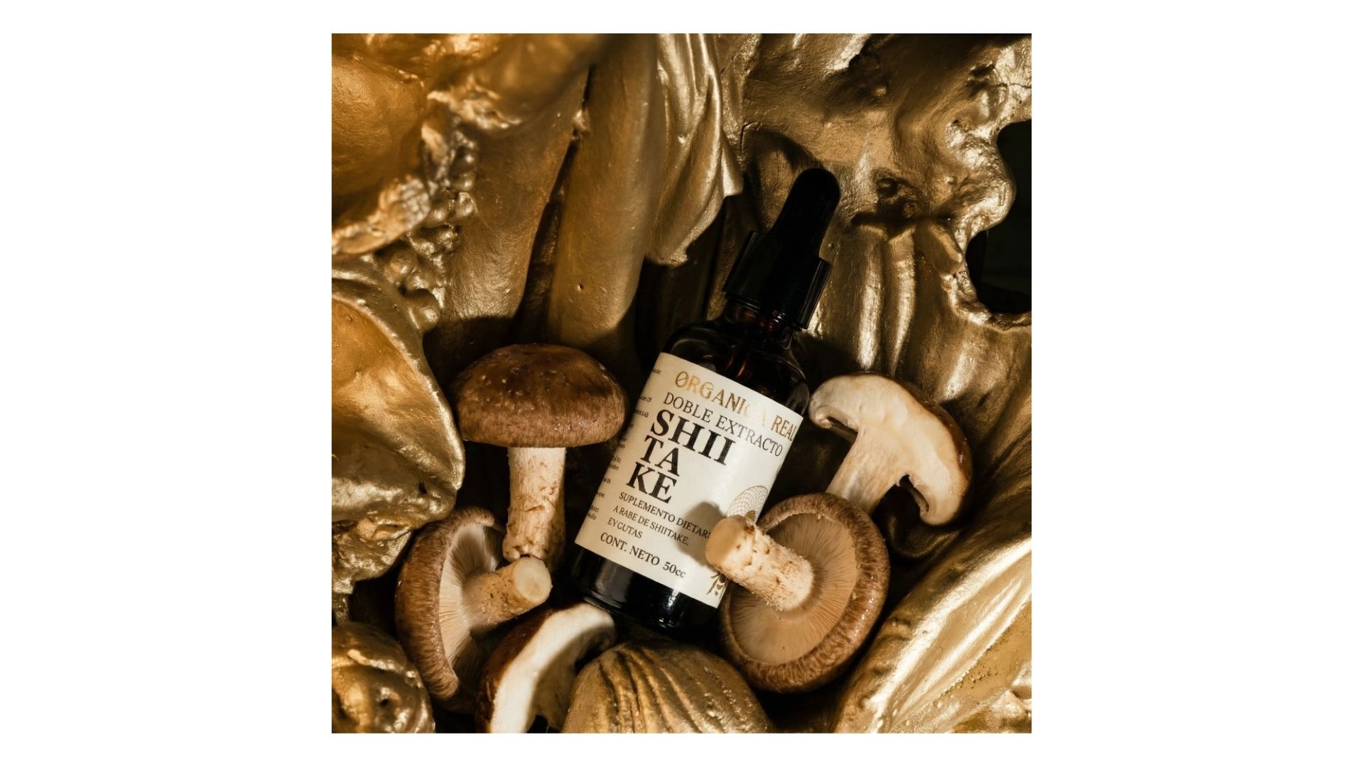 ORGANICA REAL SHITAKE 50 CC