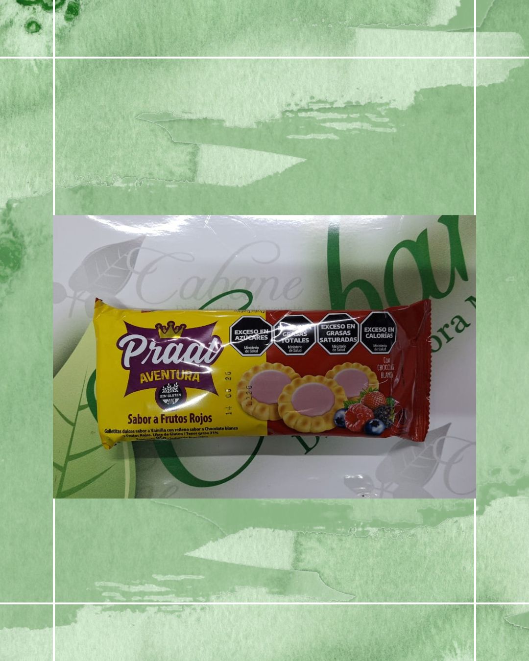 PRAAT AVENTURA VAINILLA FRUTOS ROJOS 85 GRS