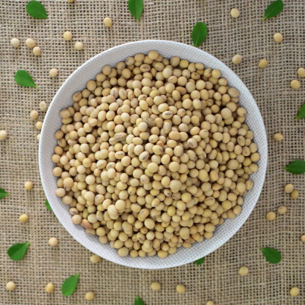 PAT. GRAINS POROTO DE SOJA 500 GRS