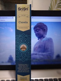 AYURVEDA SAHUMERIO CANELA 20 GRS