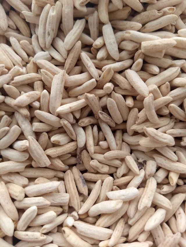 BURBUJA ARROZ INF BL 5 KG