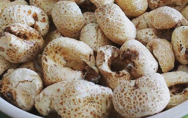 BURBUJA MAIZ INF BL 2 KG