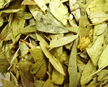 ALIM DEL PLATA SEN HOJAS 1 kg