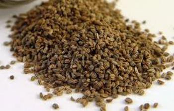 ALIM DEL PLATA APIO SEMILLAS 1 kg