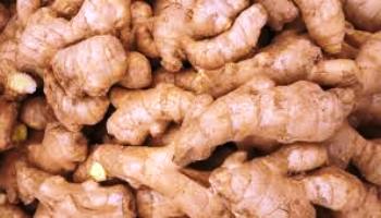 ALIM DEL PLATA JENGIBRE RAIZ 1 kg