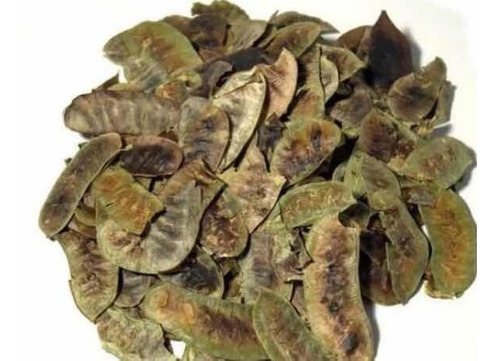 ALIM DEL PLATA SEN FOLICULOS 1 KG