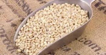 Dicomere CEBADA PERLADA 5 kg