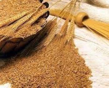 Dicomere SALVADO DE TRIGO 2.5 kg