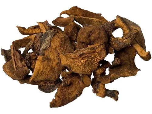 MELAR HONGO BOLETUS 1 KG