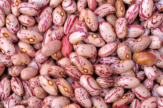 MELAR POROTO CRANBERRY 1 KG