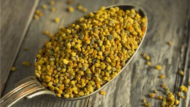 MELAR POROTOS PALLARES 5 KG