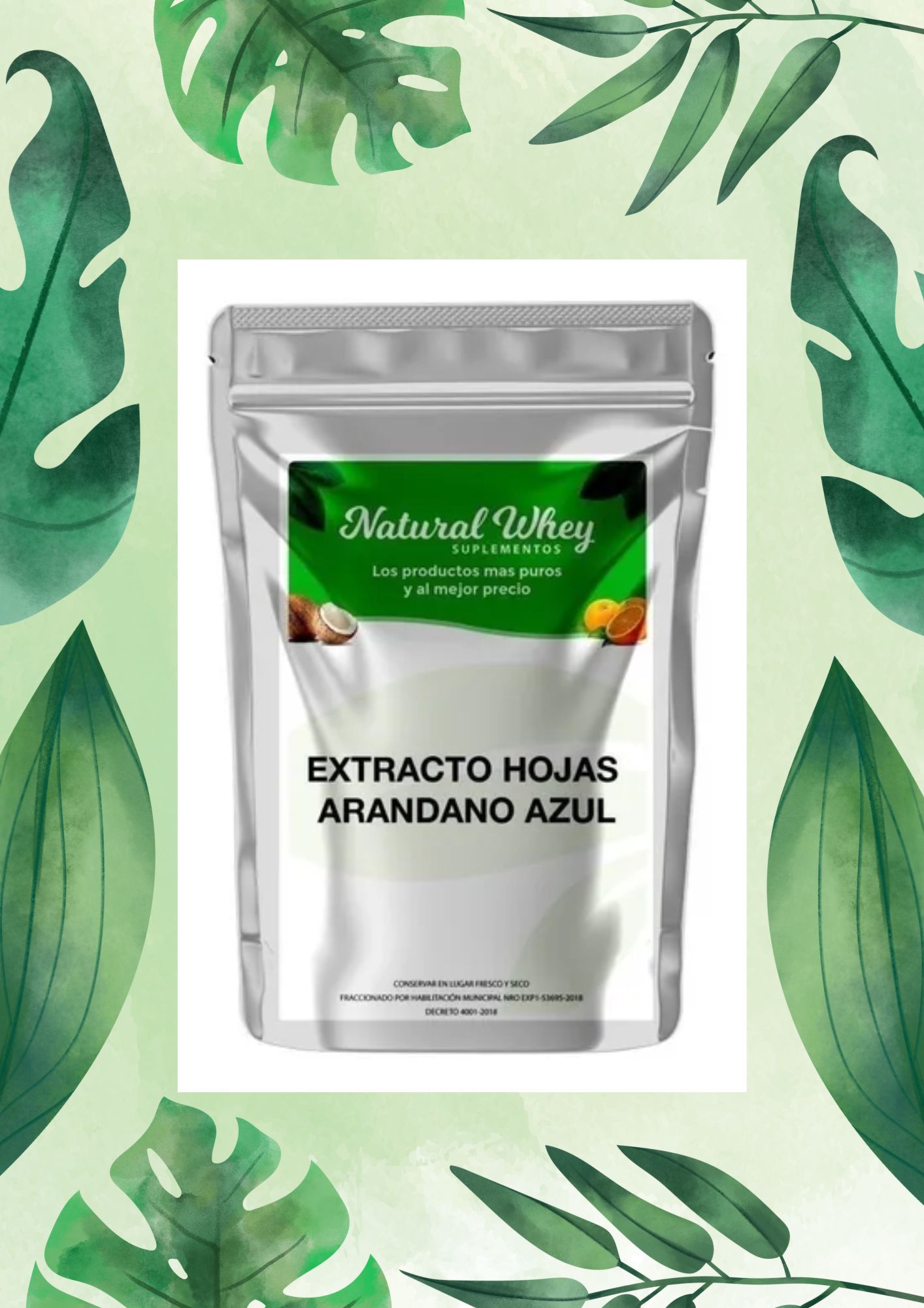 NATURAL WHEY HOJAS DE ARANDANOS AZUL 50 GRS