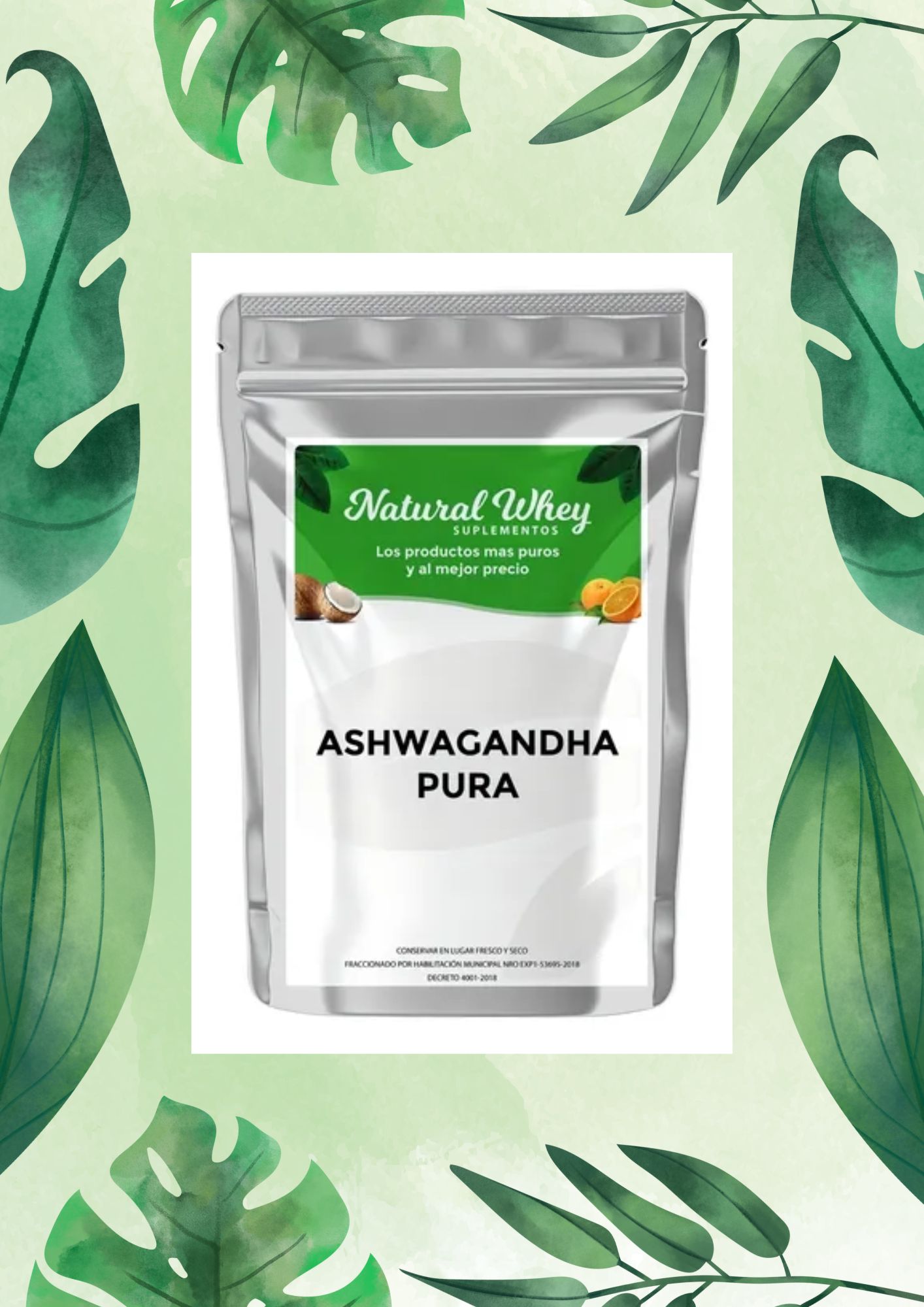 NATURAL WHEY ASHWAGANDHA PURA 20 GRS