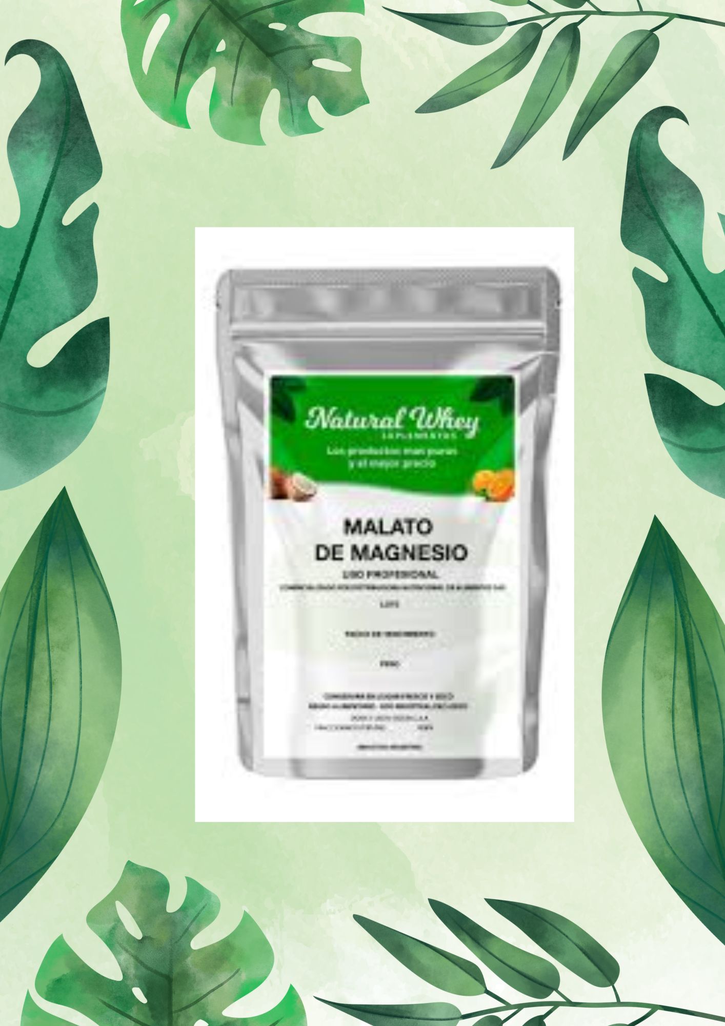 NATURAL WHEY MALATO DE MAGNESIO 50 GRS