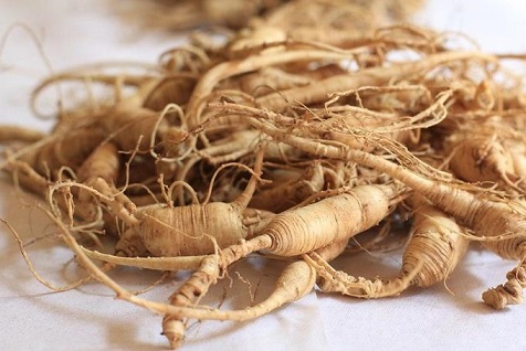 Hierbas Del Oasis KG GINSENG 1 Kg