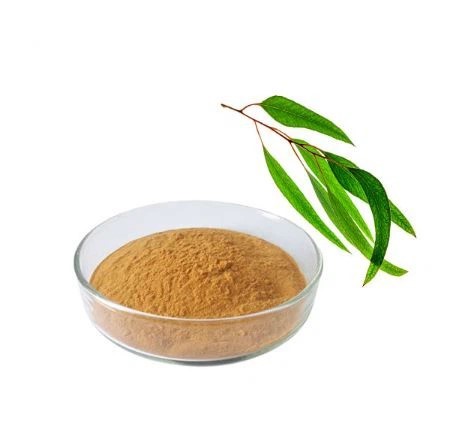 S650 EUCALIPTO POLVO 250 GRS