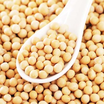 Yin Yang POROTOS DE SOJA 5 kg