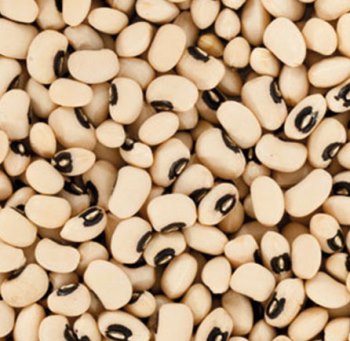 Yin Yang POROTO TAPE ESPECIAL 5 kg