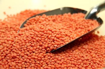 Yin Yang LENTEJAS TURCAS 3 kg