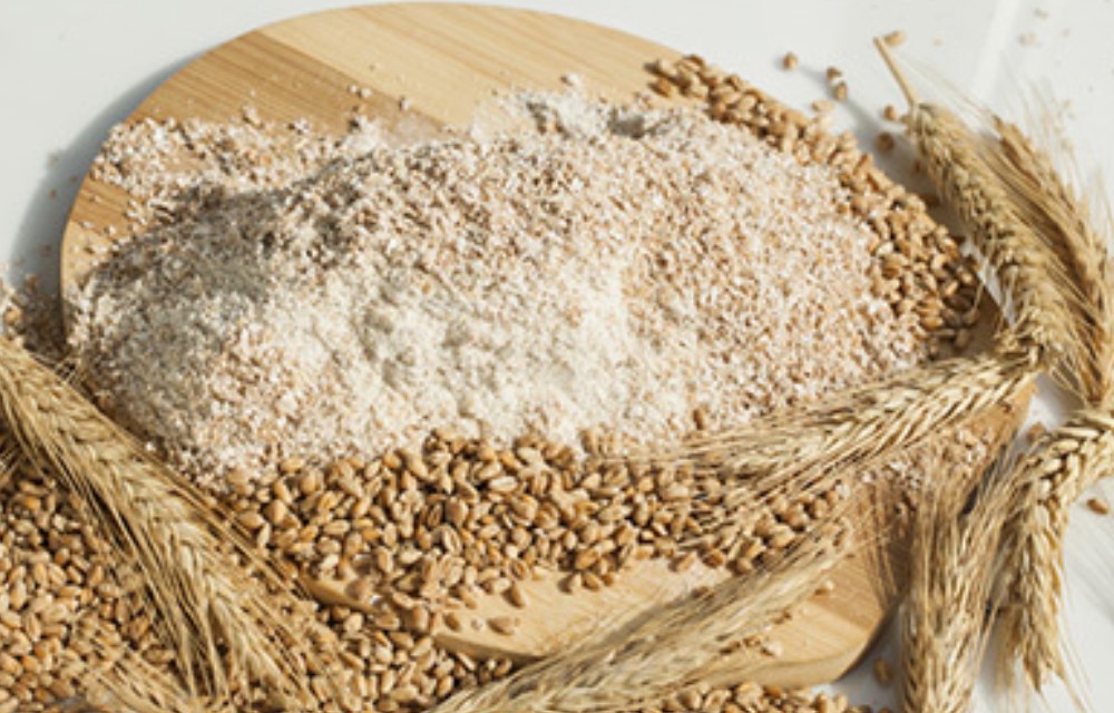 YIN YANG HARINA INTEGRAL ORGANICA FINA 25 KG