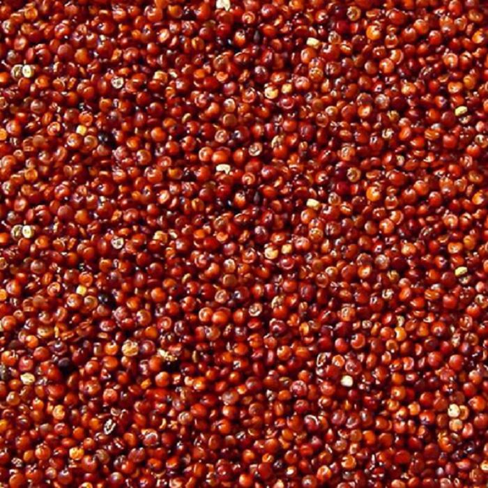 YIN YANG QUINOA ROJA 1 KG