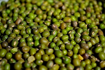 Yin Yang POROTO MUNG 3 kg