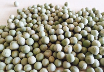 Yin Yang ARVEJAS ENTERAS 5 kg