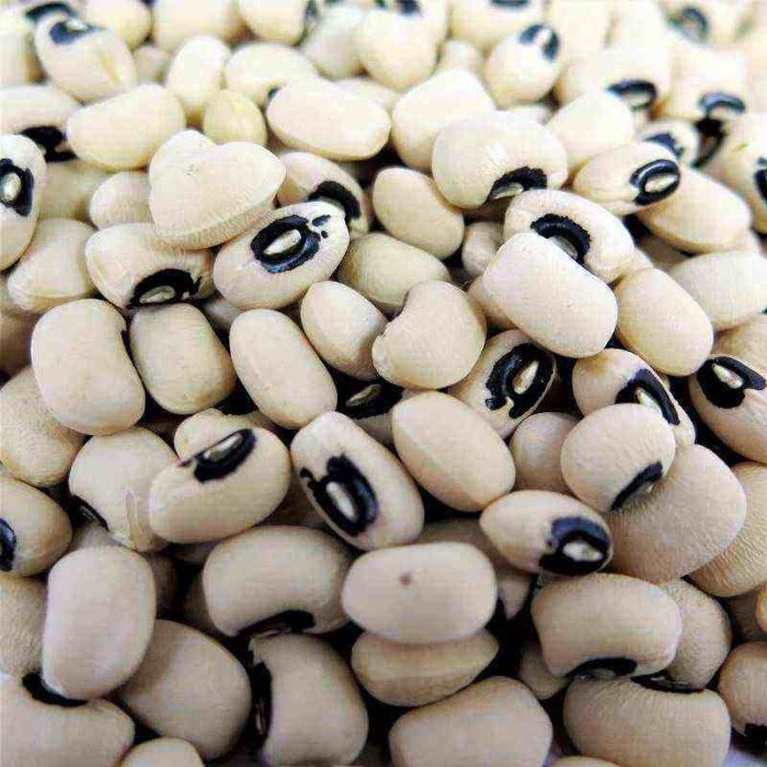 DICOMERE POROTO TAPE 5 KG