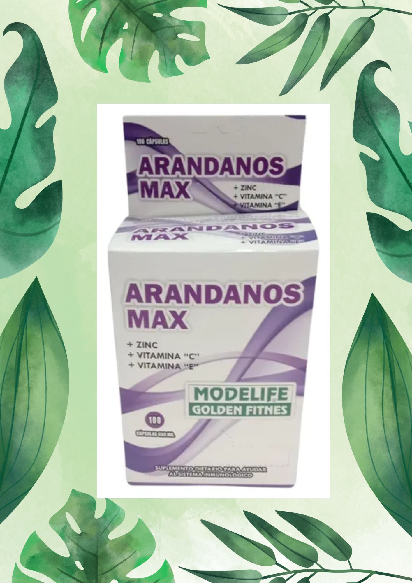 MODELIFE ARANDANO MAX BLIST