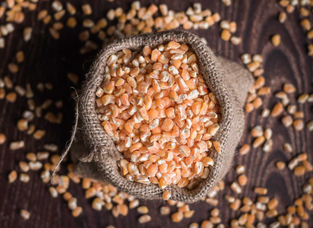 YIN YANG MAIZ COLORADO 5 KG